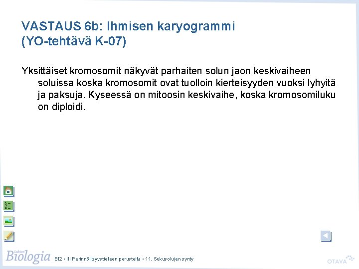 VASTAUS 6 b: Ihmisen karyogrammi (YO-tehtävä K-07) Yksittäiset kromosomit näkyvät parhaiten solun jaon keskivaiheen