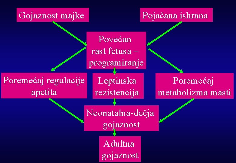 Gojaznost majke Pojačana ishrana Povećan rast fetusa – programiranje Poremećaj regulacije apetita Leptinska rezistencija