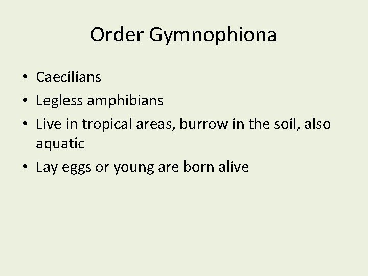 Order Gymnophiona • Caecilians • Legless amphibians • Live in tropical areas, burrow in