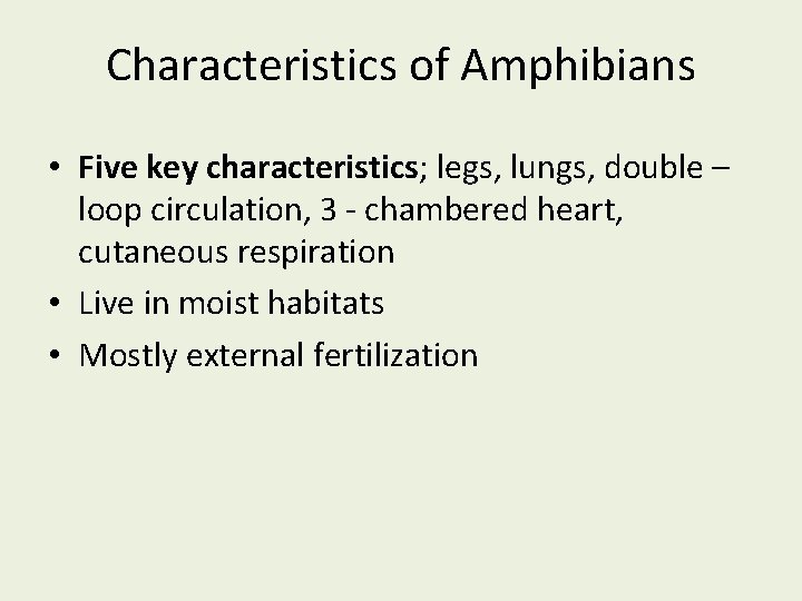 Characteristics of Amphibians • Five key characteristics; legs, lungs, double – loop circulation, 3