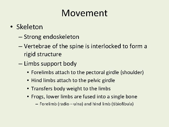 Movement • Skeleton – Strong endoskeleton – Vertebrae of the spine is interlocked to