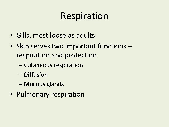 Respiration • Gills, most loose as adults • Skin serves two important functions –