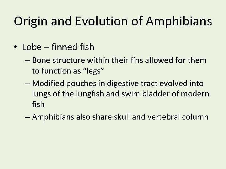 Origin and Evolution of Amphibians • Lobe – finned fish – Bone structure within