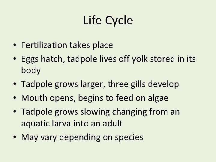 Life Cycle • Fertilization takes place • Eggs hatch, tadpole lives off yolk stored