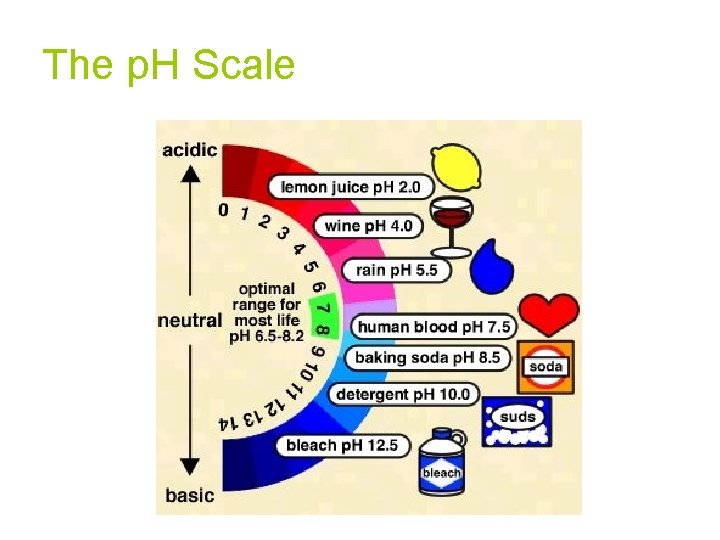 The p. H Scale 