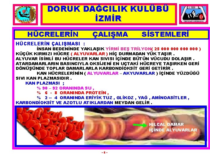 DORUK DAĞCILIK KULÜBÜ İZMİR HÜCRELERİN ÇALIŞMA SİSTEMLERİ HÜCRELERİN ÇALIŞMASI : İNSAN BEDENİNDE YAKLAŞIK YİRMİ