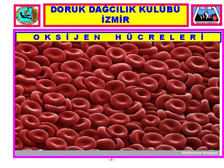 DORUK DAĞCILIK KULÜBÜ İZMİR O K S İ J E N H Ü C