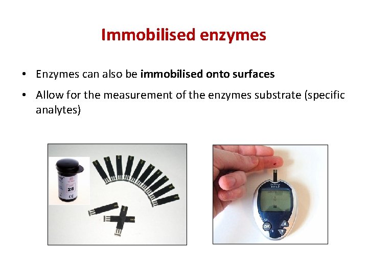 Immobilised enzymes • Enzymes can also be immobilised onto surfaces • Allow for the