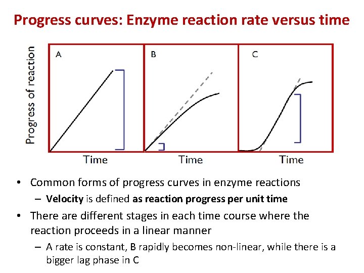 Progress curves: Enzyme reaction rate versus time • Common forms of progress curves in