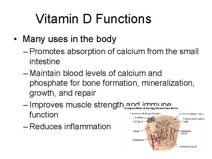 Vitamin D Functions • Many uses in the body – Promotes absorption of calcium