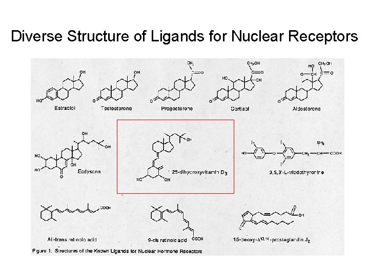 Diverse Structure of Ligands for Nuclear Receptors 