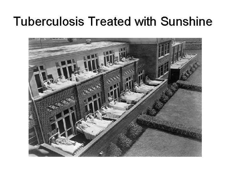 Tuberculosis Treated with Sunshine 