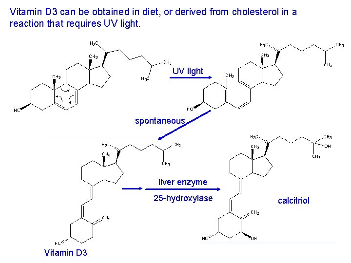 Vitamin D 3 can be obtained in diet, or derived from cholesterol in a