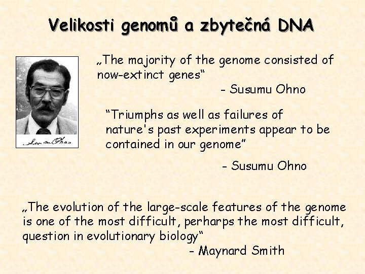 Velikosti genomů a zbytečná DNA „The majority of the genome consisted of now-extinct genes“