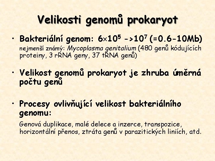 Velikosti genomů prokaryot • Bakteriální genom: 6 105 ->107 (=0. 6 -10 Mb) nejmenší