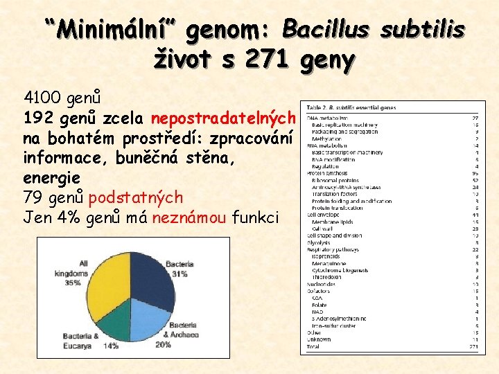 “Minimální” genom: Bacillus subtilis život s 271 geny 4100 genů 192 genů zcela nepostradatelných