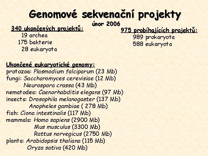 Genomové sekvenační projekty 340 ukončených projektů: 19 archea 175 bakterie 28 eukaryota únor 2006