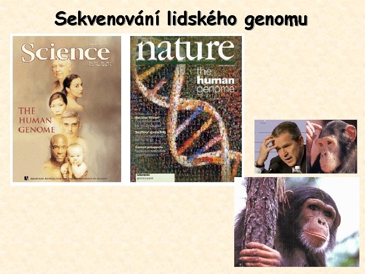 Sekvenování lidského genomu 