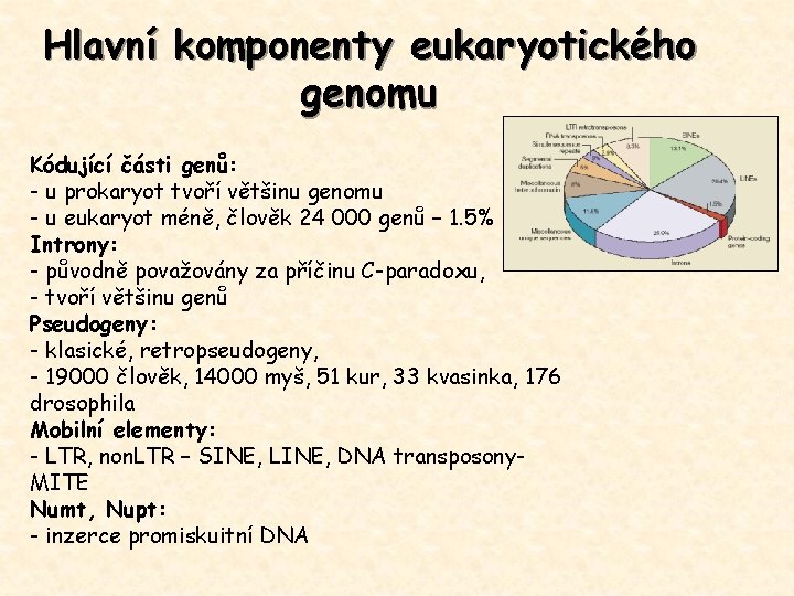 Hlavní komponenty eukaryotického genomu Kódující části genů: - u prokaryot tvoří většinu genomu -