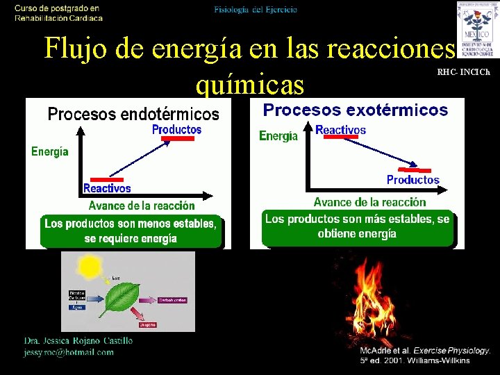 Flujo de energía en las reacciones químicas RHC- INCICh 
