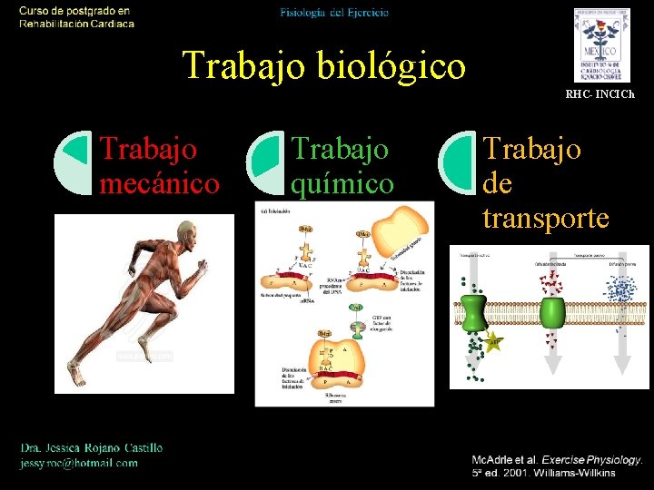 Trabajo biológico RHC- INCICh Trabajo mecánico Trabajo químico Trabajo de transporte 