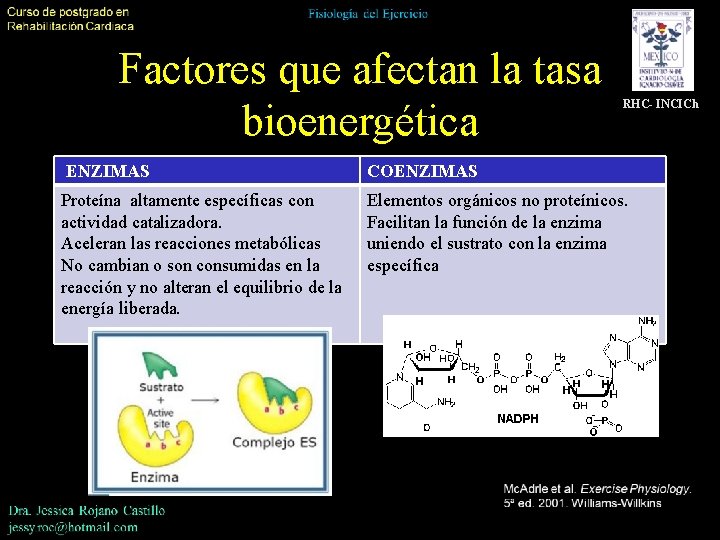 Factores que afectan la tasa bioenergética RHC- INCICh ENZIMAS COENZIMAS Proteína altamente específicas con