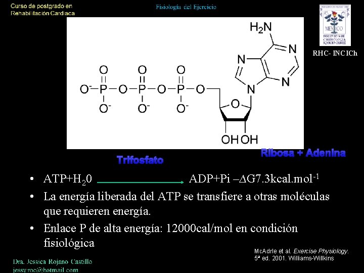 RHC- INCICh Trifosfato Ribosa + Adenina • ATP+H 20 ADP+Pi –∆G 7. 3 kcal.