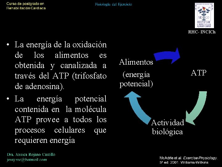 RHC- INCICh • La energía de la oxidación de los alimentos es obtenida y