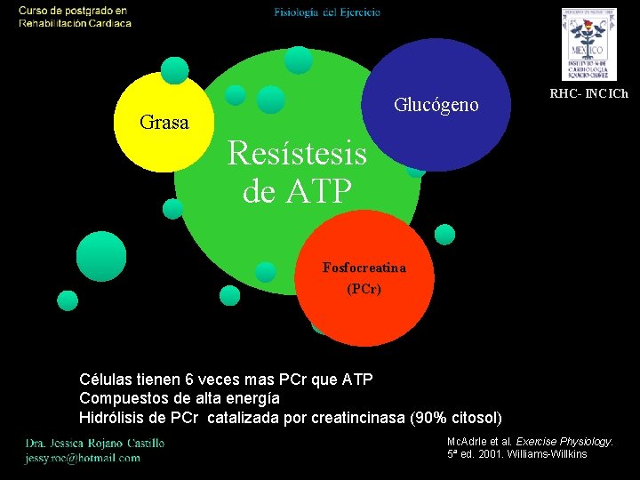 Grasa Glucógeno RHC- INCICh Resístesis de ATP Fosfocreatina (PCr) Células tienen 6 veces mas