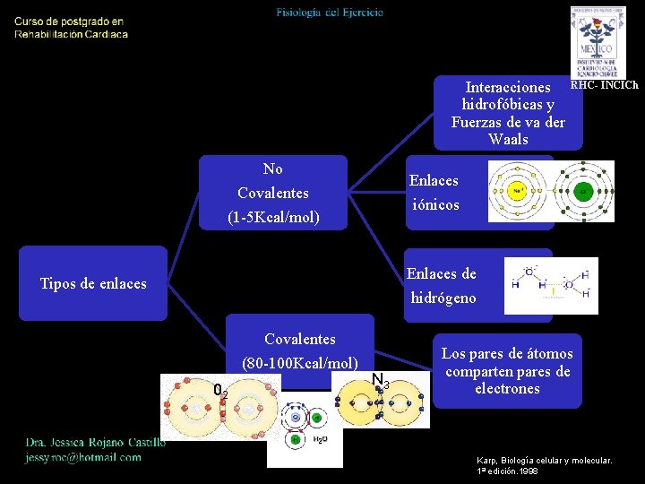 Interacciones hidrofóbicas y Fuerzas de va der Waals No RHC- INCICh Enlaces Covalentes (1