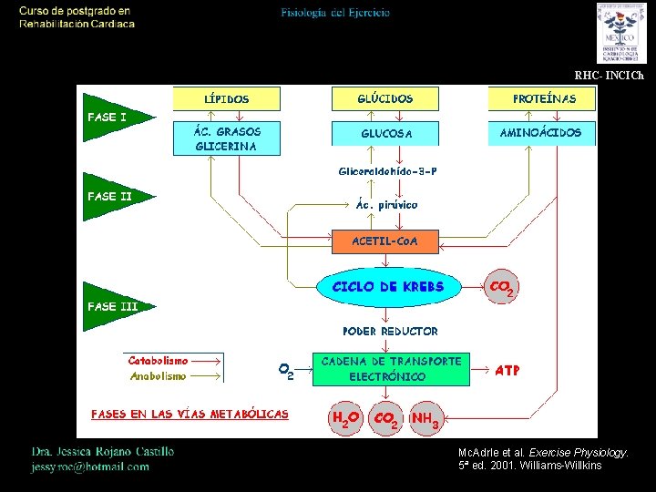 RHC- INCICh Mc. Adrle et al. Exercise Physiology. 5ª ed. 2001. Williams-Willkins 