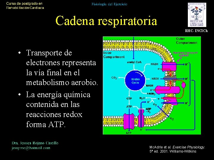 Cadena respiratoria RHC- INCICh • Transporte de electrones representa la vía final en el