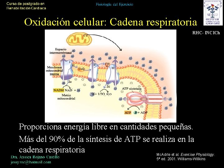 Oxidación celular: Cadena respiratoria RHC- INCICh Proporciona energía libre en cantidades pequeñas. Más del