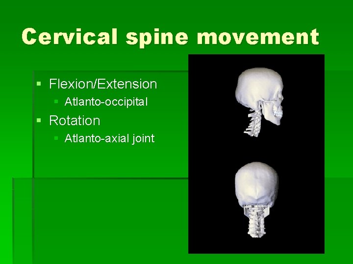 Cervical spine movement § Flexion/Extension § Atlanto-occipital § Rotation § Atlanto-axial joint Cervical spine movement § Flexion/Extension § Atlanto-occipital § Rotation § Atlanto-axial joint