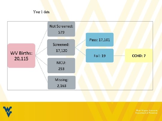 Year 1 data West Virginia University Department of Pediatrics 