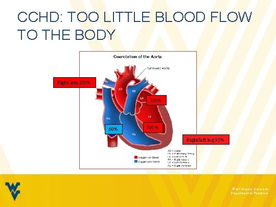 CCHD: TOO LITTLE BLOOD FLOW TO THE BODY Right arm 100% 60% 100% Right/left