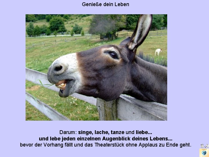 Genieße dein Leben Darum: singe, lache, tanze und liebe. . . und lebe jeden