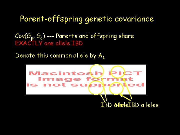 Parent-offspring genetic covariance Cov(Gp, Go) --- Parents and offspring share EXACTLY one allele IBD