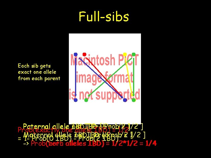Full-sibs Each sib gets exact one allele from each parent not IBD [ Prob
