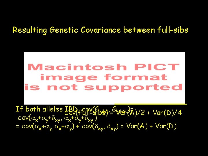 Resulting Genetic Covariance between full-sibs If both alleles Cov(Full-sibs) IBD, cov(Gsib 1, =GVar(A)/2 sib