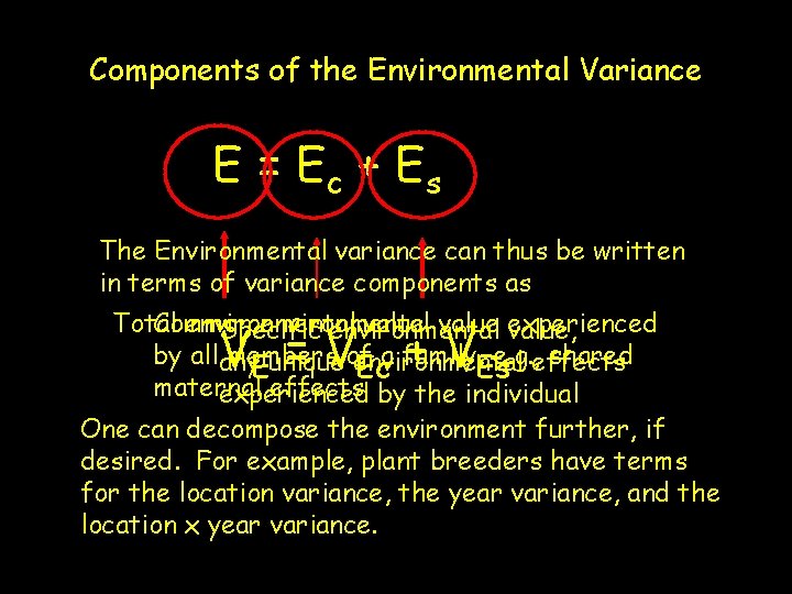 Components of the Environmental Variance E = Ec + Es The Environmental variance can