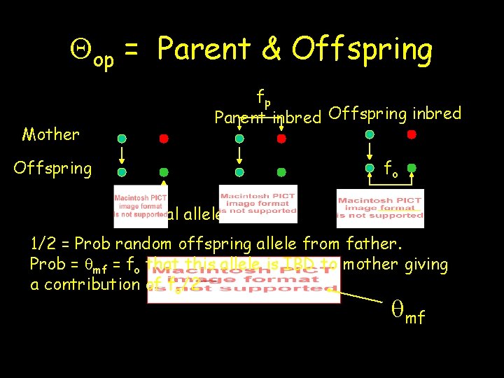 Qop = Parent & Offspring Mother fp Parent inbred Offspring fo Parental allele 1/2