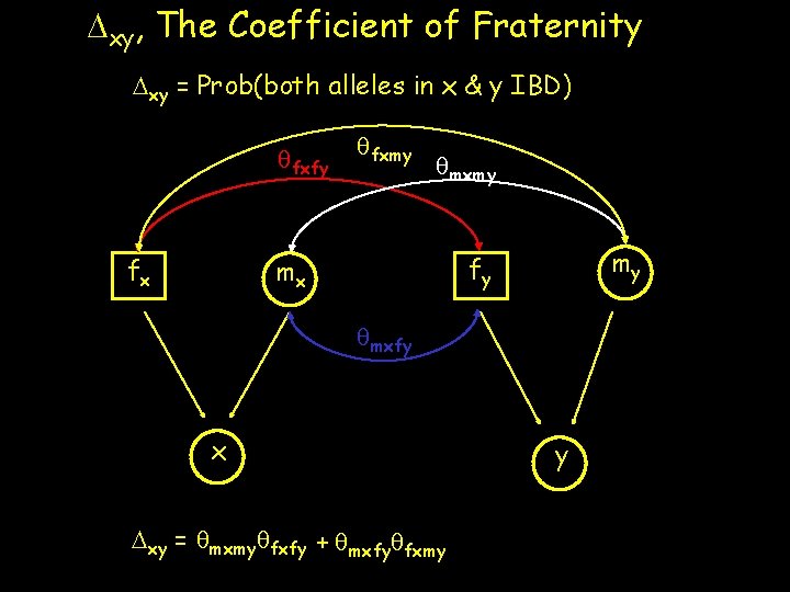 Dxy, The Coefficient of Fraternity Dxy = Prob(both alleles in x & y IBD)