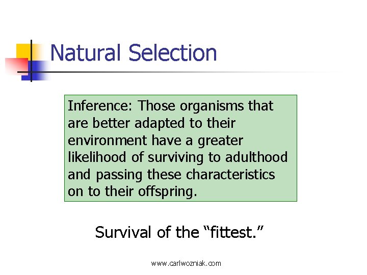 Natural Selection Inference: Those organisms that are better adapted to their environment have a