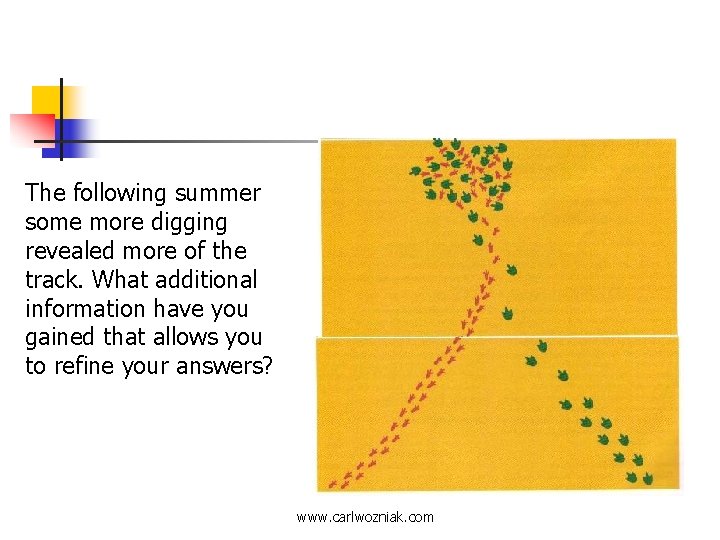 The following summer some more digging revealed more of the track. What additional information