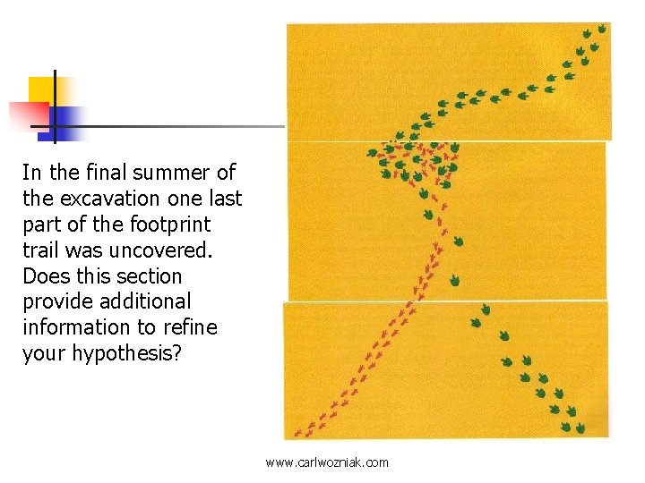 In the final summer of the excavation one last part of the footprint trail
