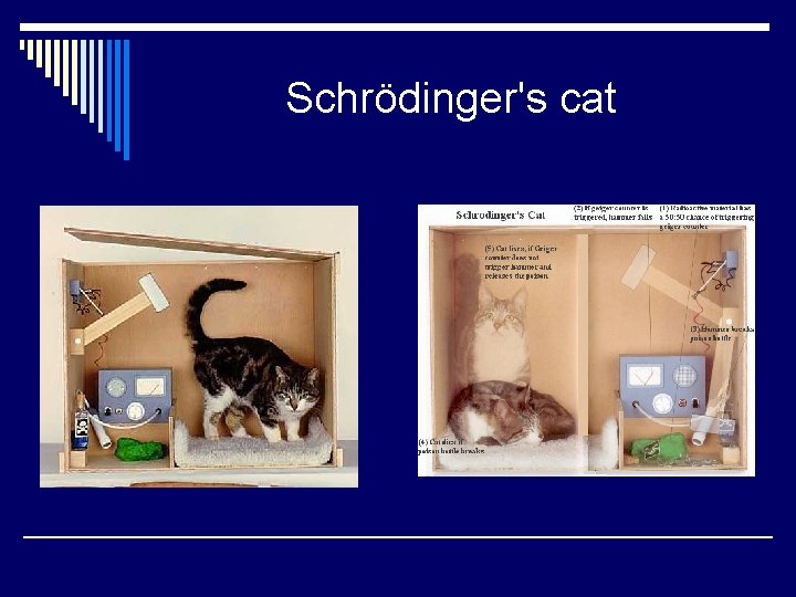 Schrödinger's cat 