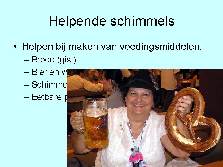 Helpende schimmels • Helpen bij maken van voedingsmiddelen: – Brood (gist) – Bier en