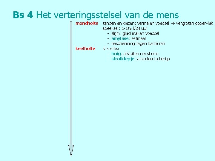 Bs 4 Het verteringsstelsel van de mens mondholte keelholte tanden en kiezen: vermalen voedsel