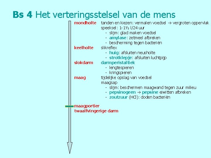 Bs 4 Het verteringsstelsel van de mens mondholte keelholte slokdarm maag tanden en kiezen: